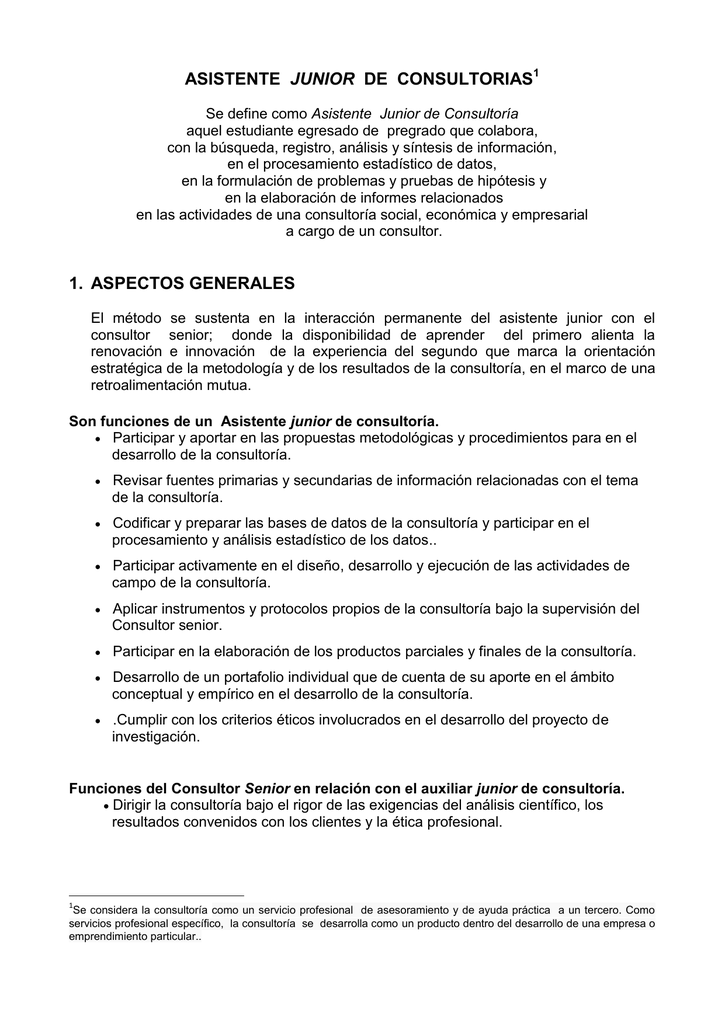 Asistente Junior De Consultorias