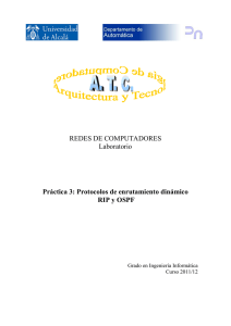 REDES DE COMPUTADORES Laboratorio Práctica 3: Protocolos