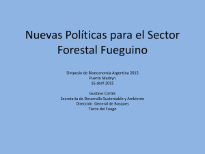 Nuevas Políticas para el Sector Forestal Fueguino