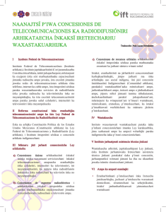 NAANAJTSÏ P`IWA CONCESIONES DE TELECOMUNICACIONES