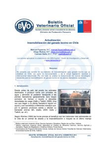 Actualización: Insensibilización del ganado bovino en Chile