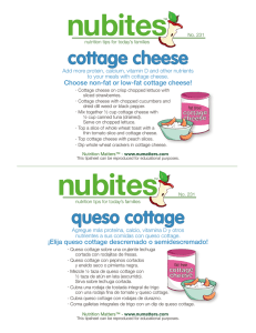 cottage cheese queso cottage