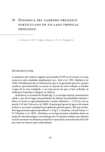 Dinámica del carbono orgánico particulado en un lago tropical