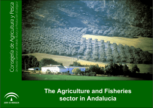 The Agriculture and Fisheries sector in Andalucia