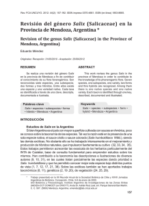 Revisión del género Salix (Salicaceae) en la Provincia de Mendoza