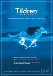 Catalogo Tildren® en PDF - PRO
