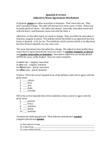 Spanish II review Adjective/Noun Agreement Worksheet