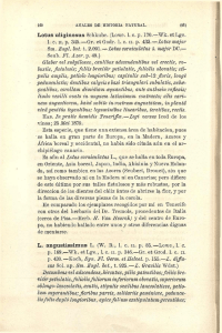 Lotus uliginosus Schkuhr. (Lowe. 1. cp 170.—Wk. et Lge. 1. c. II. p