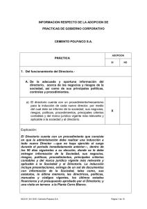 Prácticas de Gobierno Corporativo al 31 de marzo de 2013