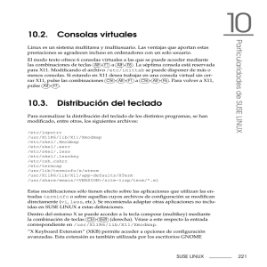 10.2. Consolas virtuales 10.3. Distribución del