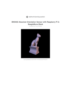 BNO055 Absolute Orientation Sensor with Raspberry Pi