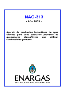 NAG-313 - Año 2009 - Ente Nacional Regulador del Gas