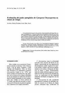 Evaluación del poder patogénico de" Cytospora Chrysosperma" en