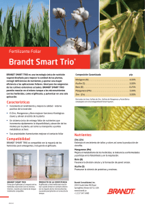 Brandt Smart Trio®