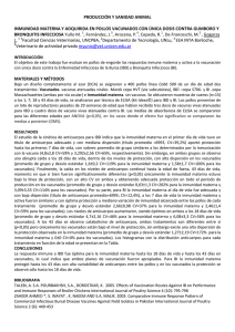 inmunidad materna y adquirida en pollos vacunados con única