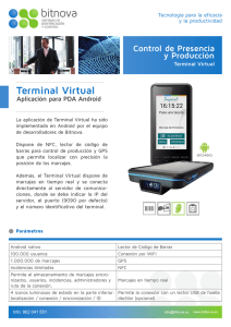Terminal Virtual