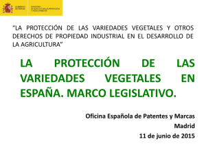 La protección de las Variedades Vegetales en España. Marco