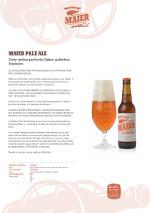 Maier Pale Ale - Cerveza Maier