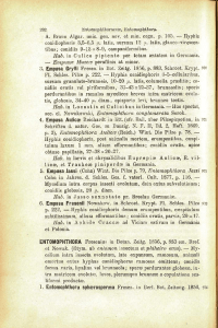 A. Braun Algar. unic. gen. nov. et min. cogn. p. 105. — Hyphis