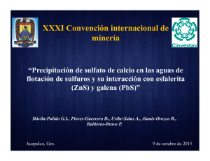 Descargar PDF - XXXI Convención Internacional de Minería