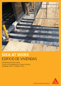 Sika at work - Sika Argentina