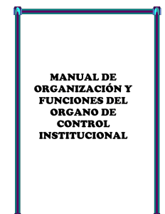 manual de organización y funciones del organo de control