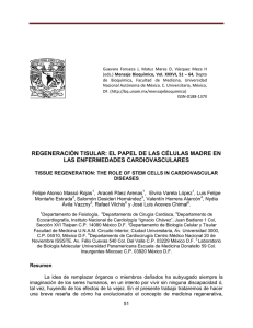 regeneración tisular: el papel de las células madre en las