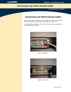 Conexiones de Patch Panels Cat5e.