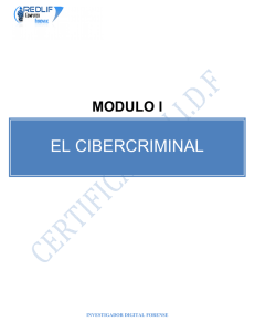 el cibercriminal