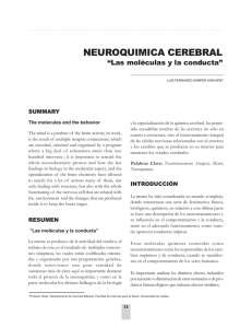 neuroquimica cerebral