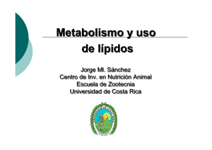 Metabolismo y uso de lípidos Metabolismo y uso de lípidos