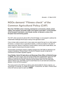 NGOs demand “Fitness check” of the Common Agricultural Policy