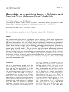 Phenomorphology and Eco-morphological Characters of