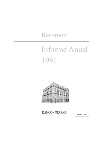 Resumen en el Informe Anual 1991