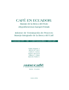 café en ecuador - International Coffee Organization