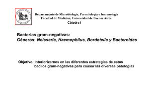 Bacterias gram-negativas: Géneros: Neisseria, Haemophilus