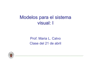 Modelos para el sistema visual: I