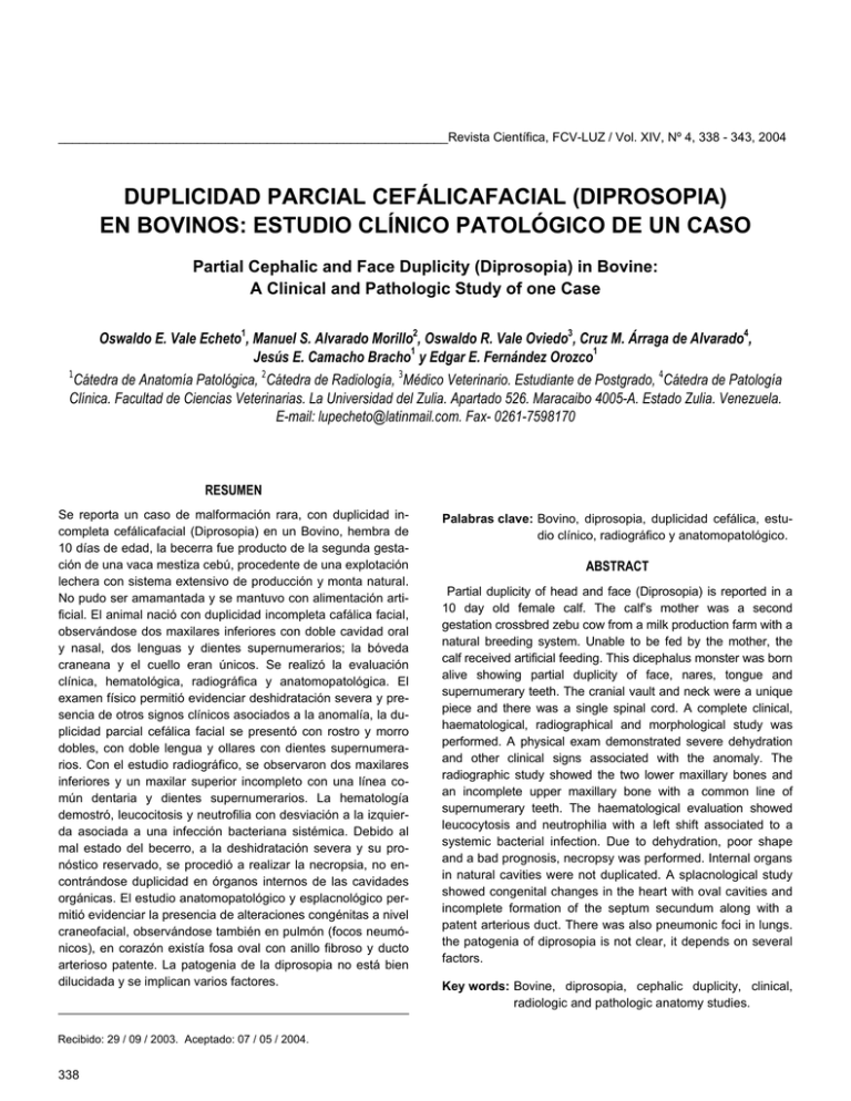 duplicidad parcial cefálicafacial (diprosopia) en bovinos