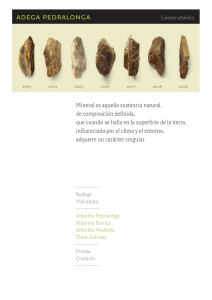 Catálogo pdf - Adega Pedralonga