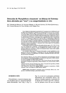Detección de Phytophthora cinnamomi en dehesas de Extremadura