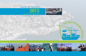 Informe Huella de Carbono 2013
