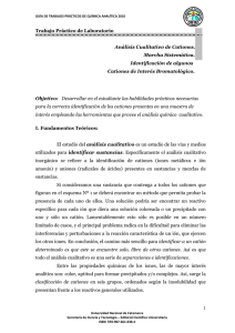 Análisis Cualitativo de Cationes. Marcha