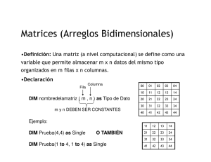 Matrices (Arreglos Bidimensionales) - Informatica-II-Civil