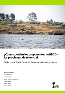 ¿cómo abordan los proponentes de redd+ los problemas de tenencia?