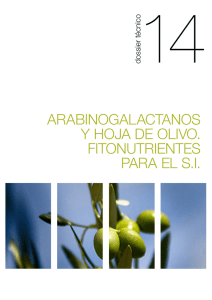 arabinogalactanos y hoja de olivo. fitonutrientes para