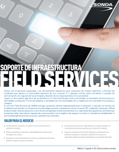 CLIENTE - FI - Servicios TI - Soporte Infraestructura