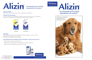 Alizin - Web Veterinaria