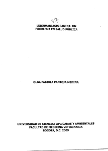 leishmaniasis canina: un facultad de medicina veterinaria