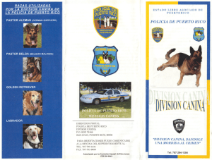 Unidad Canina de la Policía de Puerto Rico - MED-E