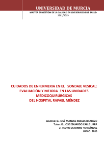 cuidados de enfermeria en el sondaje vesical: evaluación y mejora